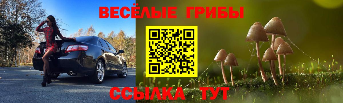 Галлюциногенные грибы Psilocybine cubensis  Вход с VPN  как найти закладки  Тейково  Галлюциногенные грибы Cubensis 